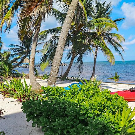 Blue Water Beach Villas San Pedro  Rom bilde